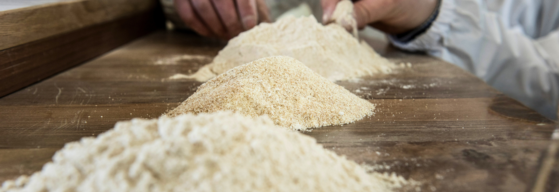 testata farine e semole testata farine e semole