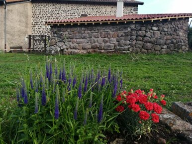 249751041_580627216514002_7551244999512724724_n.jpeg 249751041_580627216514002_7551244999512724724_n.jpeg