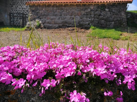 190270554_1427256697624269_4687973194360147418_n.jpeg 190270554_1427256697624269_4687973194360147418_n.jpeg