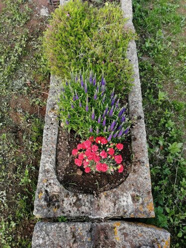 250910203_611409940271502_3115089138618190488_n.jpeg 250910203_611409940271502_3115089138618190488_n.jpeg