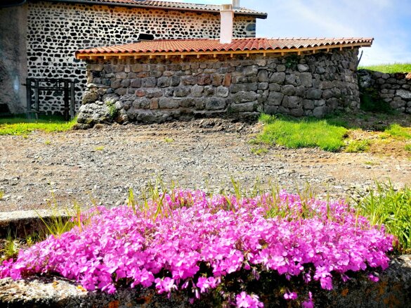 189770996_305536617840715_769301848347859494_n.jpeg 189770996_305536617840715_769301848347859494_n.jpeg