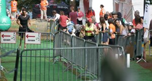 p1187372.jpeg