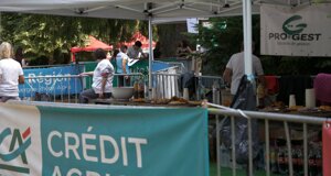 p1187648.jpeg