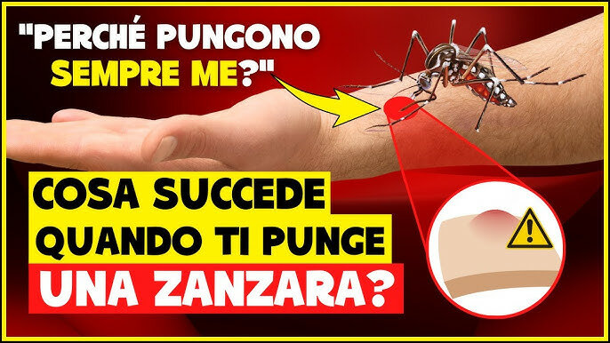 Perch&egrave; le zanzare pungono sempre me?