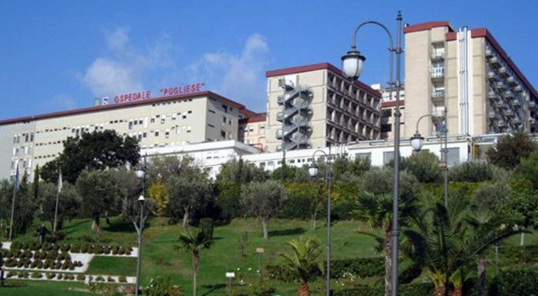 Where care meets the soul: a tribute to the neurology department of Pugliese-CiaccioA heartfelt thank you to the Neurology department: professio