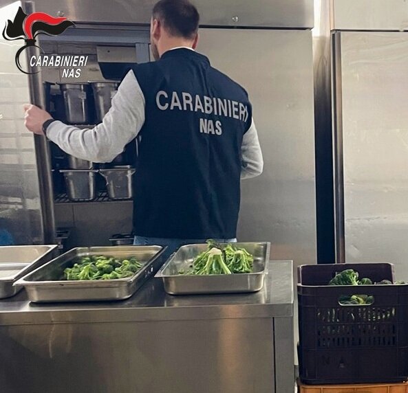 Dovremmo vergognarci! Da recenti controlli del NAS di Catanzaro risultano irregolari il 70% delle attivit&agrave; ispezionate