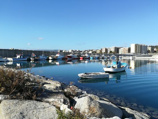 Porto di Catanzaro, Costanzo e Corsi: “Basta inerzia. Pescatori lasciati soli, la Regione e la Protezione Civile intervengano subito” Porto di Catanzaro, Costanzo e Corsi: “Basta inerzia. Pescatori lasciati soli, la Regione e la Protezione Civile intervengano subito”