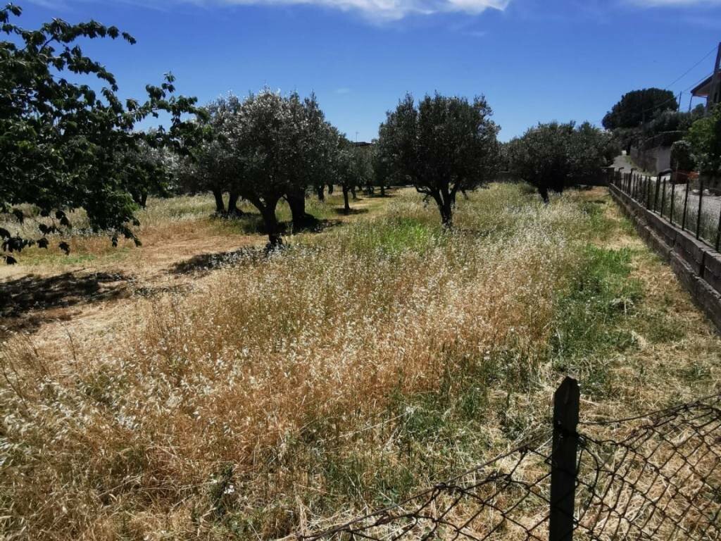Agricoltura sociale e reinserimento: il Comune concede un terreno in comodato gratuito alla Casa Circondariale &ldquo;Ugo Caridi&rdquo;