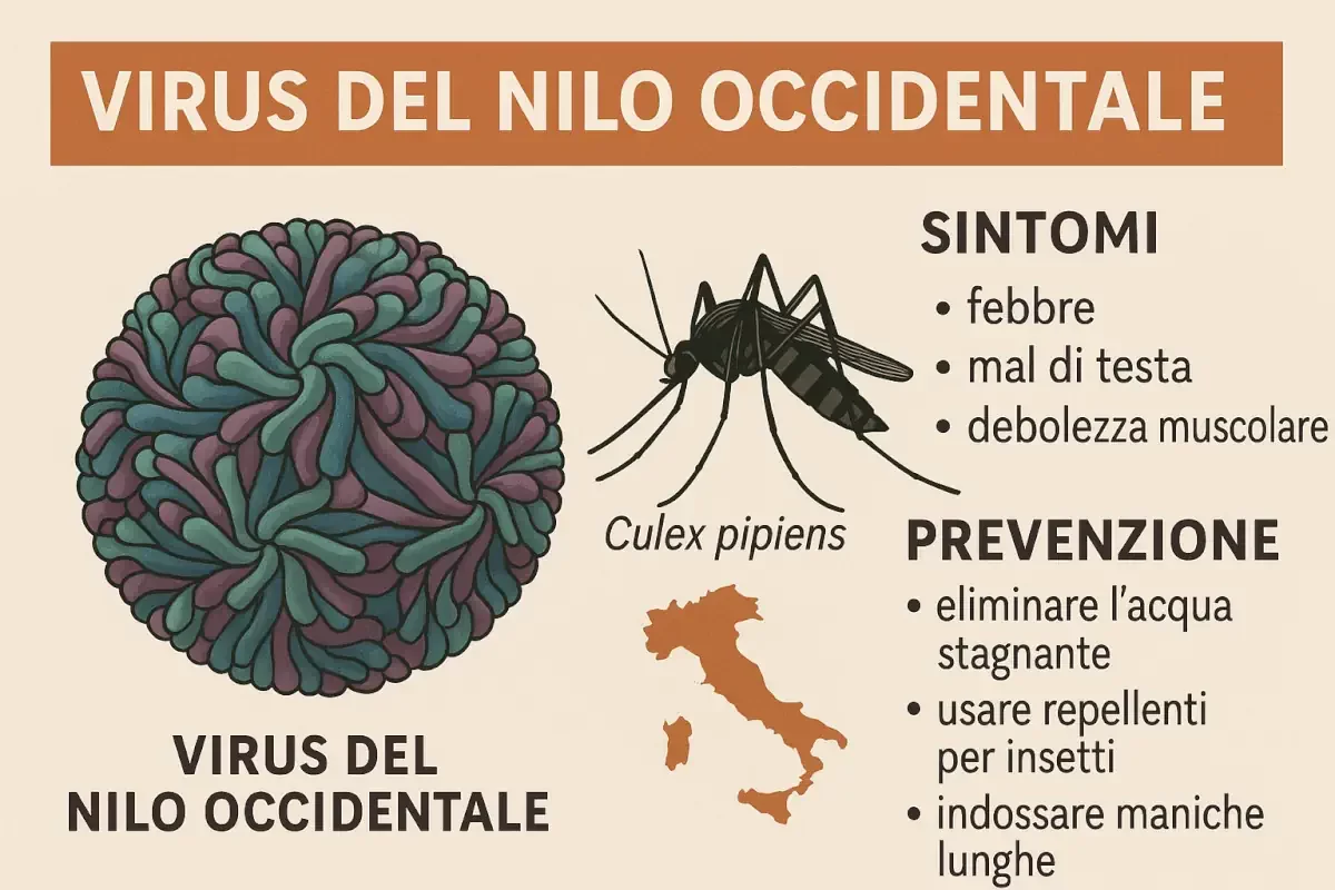 Lotta al virus "West Nile", al via gli interventi del nuovo ciclo di disinfestazione. Si parte dalle Zona Sud
