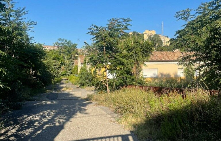 Sergio Costanzo: «Incontro proficuo e chiarificatore con i vertici dell’Esercito. Giusto riconoscere il lavoro già avviato» Sergio Costanzo: «Incontro proficuo e chiarificatore con i vertici dell’Esercito. Giusto riconoscere il lavoro già avviato»
