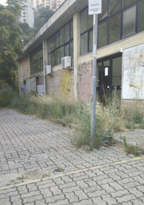 immagine-2026-08-02-110839.jpeg