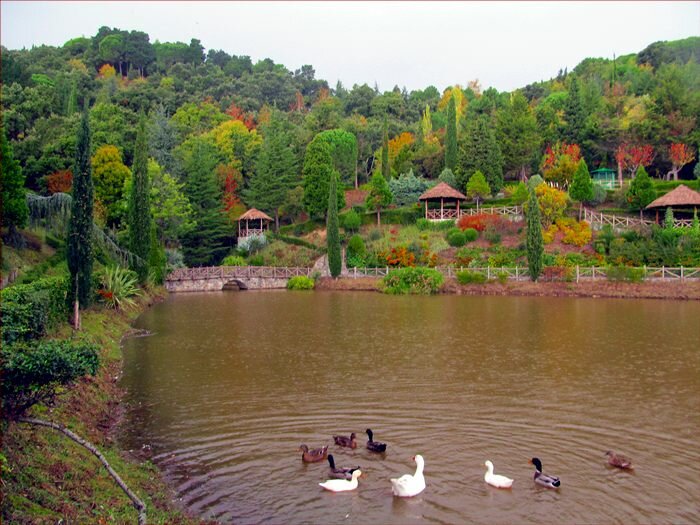Parco Li Comuni verso la riapertura integrale Parco Li Comuni verso la riapertura integrale
