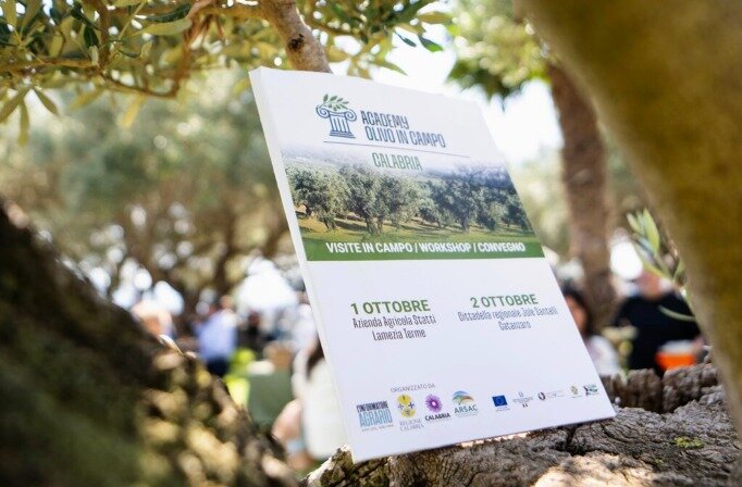 Academy Olivo in Campo Calabria, due giorni di confronto per tracciare il futuro della filiera Academy Olivo in Campo Calabria, due giorni di confronto per tracciare il futuro della filiera