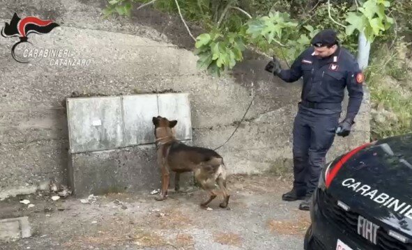 Droga nei contatori dell'acqua. Quattro persone segnalate per possesso stupefacenti