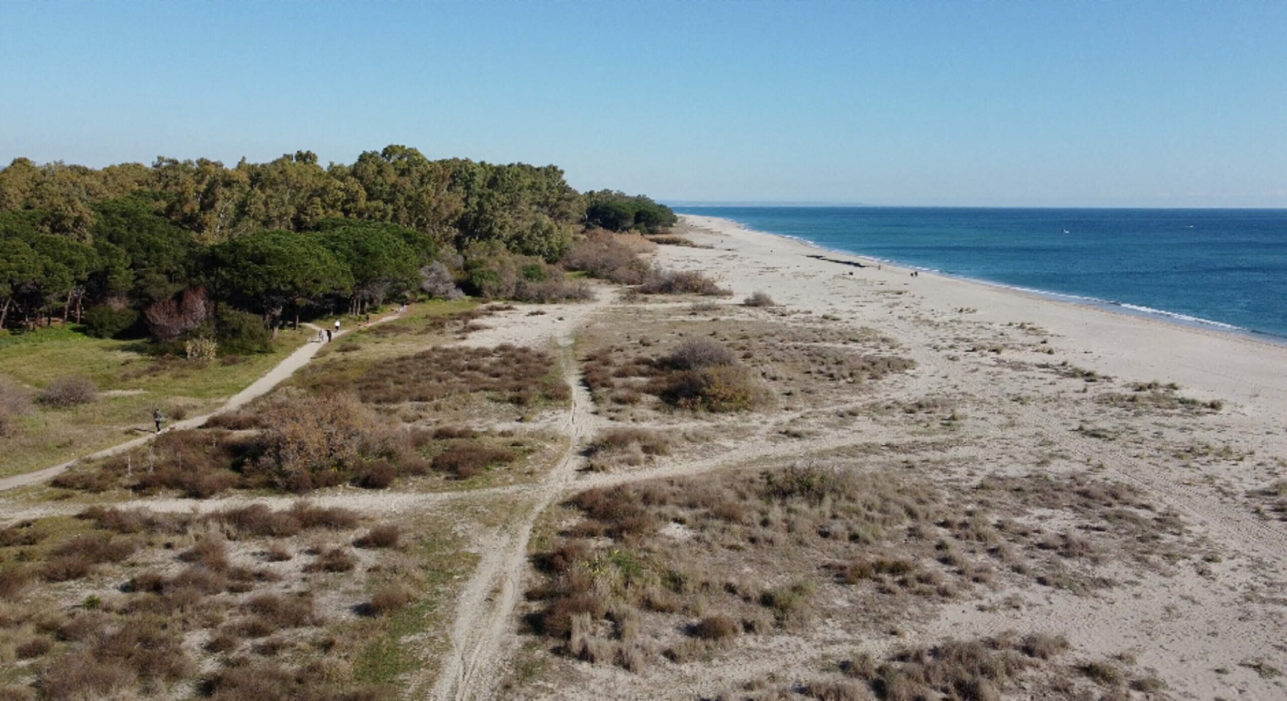 Approvata la convenzione per la Riserva Naturale delle Dune di Giovino: Catanzaro istituisce la sua prima area protetta