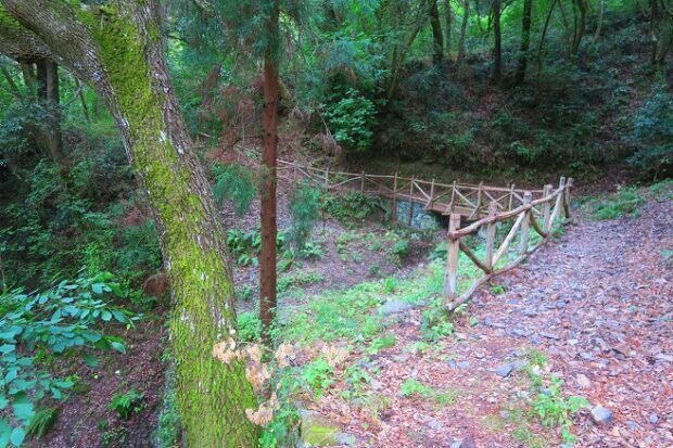 pineta-di-siano-catanzaro-8-620x413-1.jpeg pineta-di-siano-catanzaro-8-620x413-1.jpeg