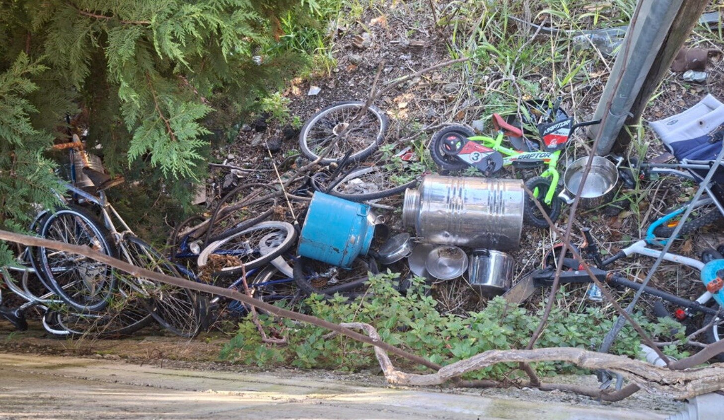 Vergogna in Via Carlo V: Una discarica a cielo aperto nel cuore di Catanzaro!