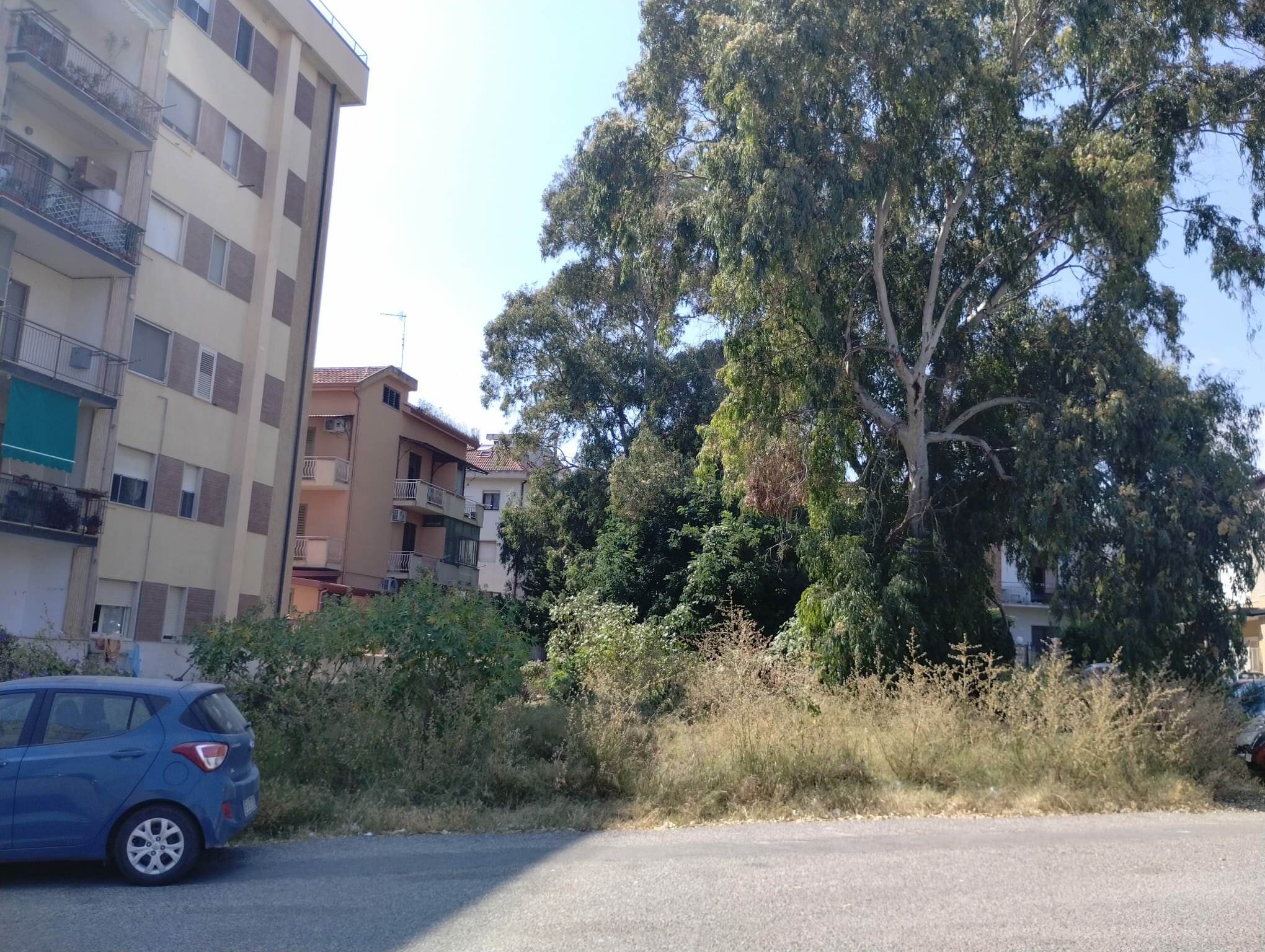 The residents of the Lido district of Catanzaro, and in particular of via Marco Polo, make an urgent appeal to the Municipal Administration so that it