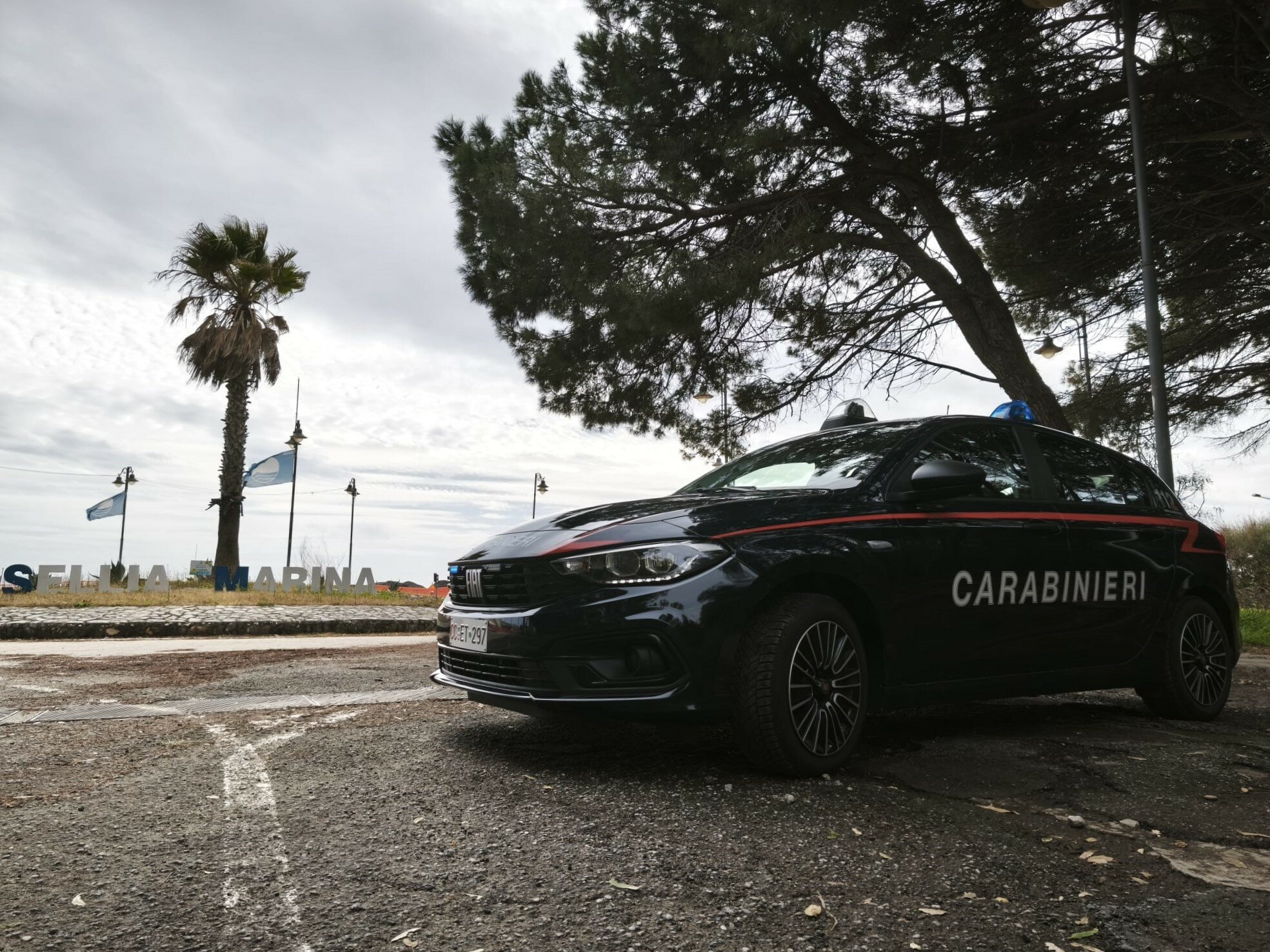 cc-sellia.jpeg cc-sellia.jpeg