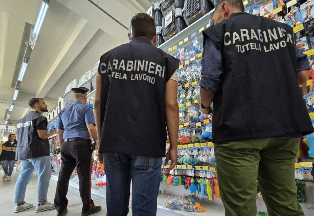 This morning, in Satriano (CZ), the Carabinieri of the Soverato Company together with those of the Labor Inspectorate Unit (NIL) of Catanzaro h