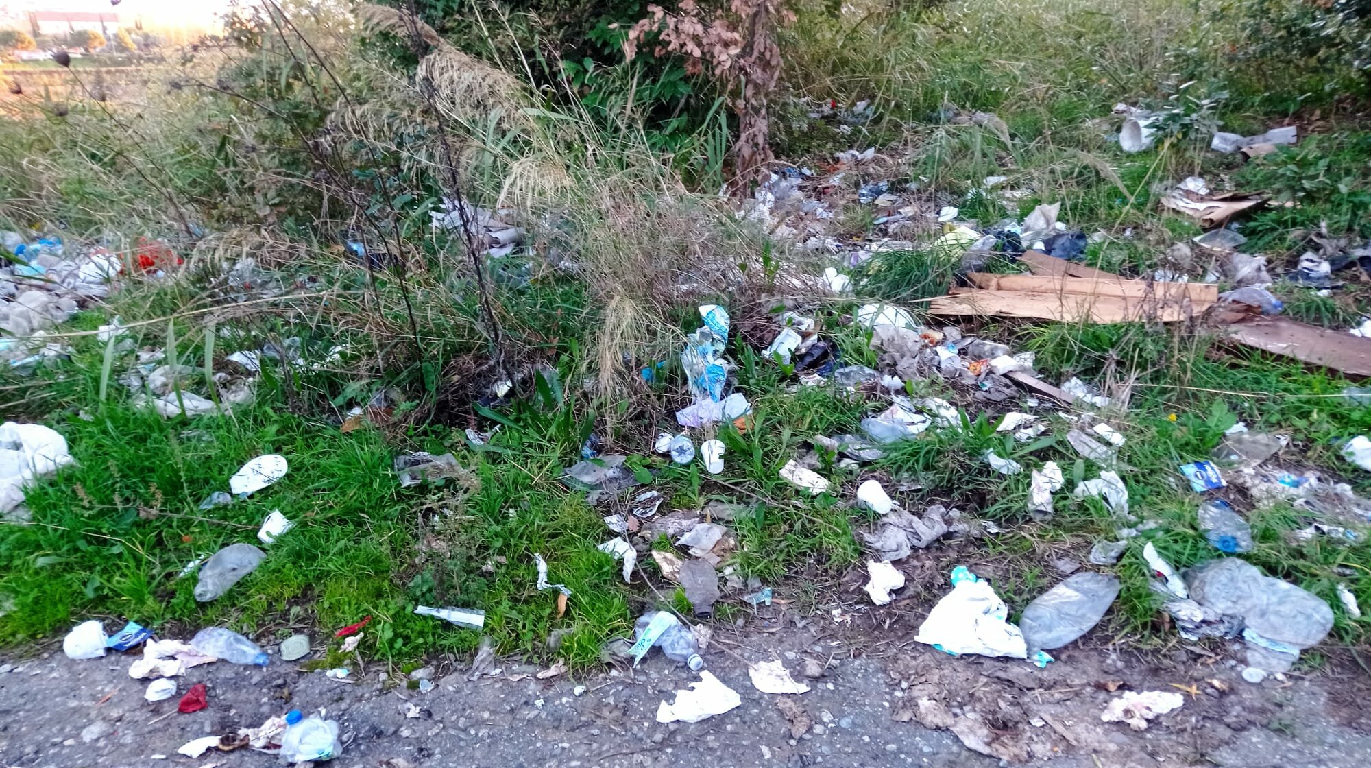 Un altro immondezzaio lungo la strada del Sert nello storico parco dell'ospedale Ciaccio di Catanzaro