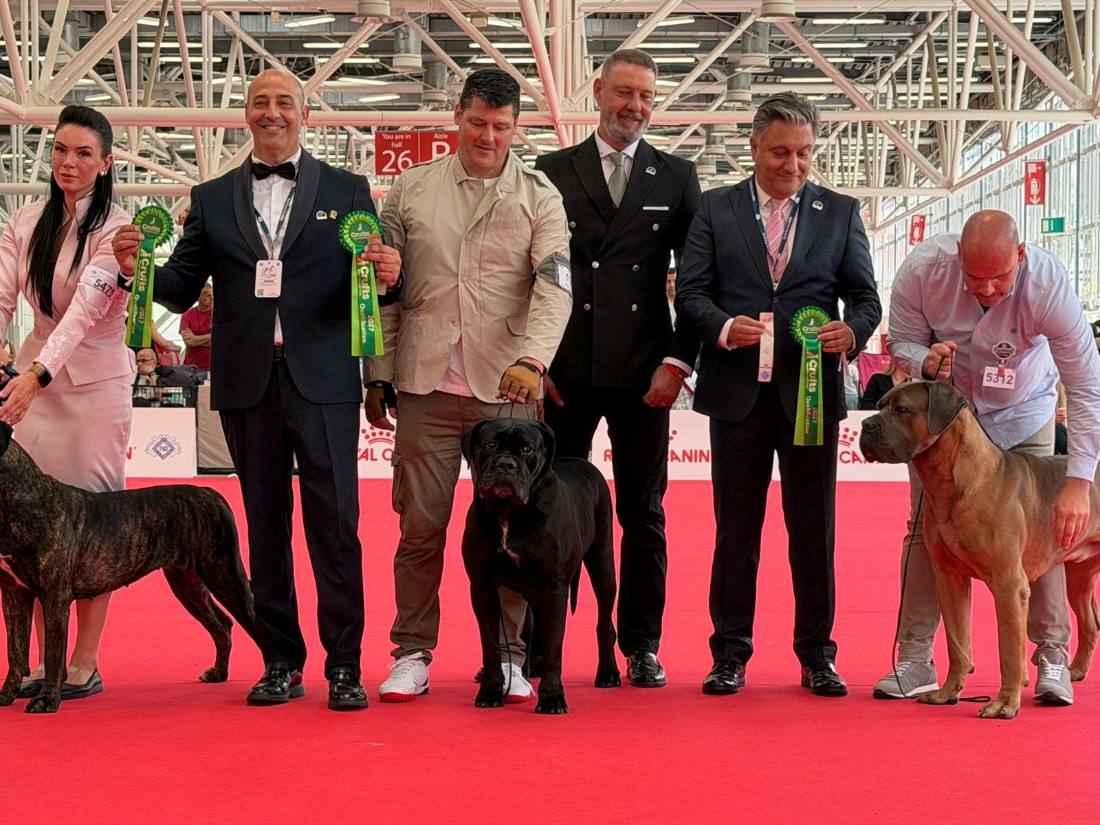 Trionfo Tricolore : Il Cane Corso 'Gressa' della Casata Pungillo di Catanzaro si laurea Campionessa del Mondo 2026 Trionfo Tricolore : Il Cane Corso 'Gressa' della Casata Pungillo di Catanzaro si laurea Campionessa del Mondo 2026