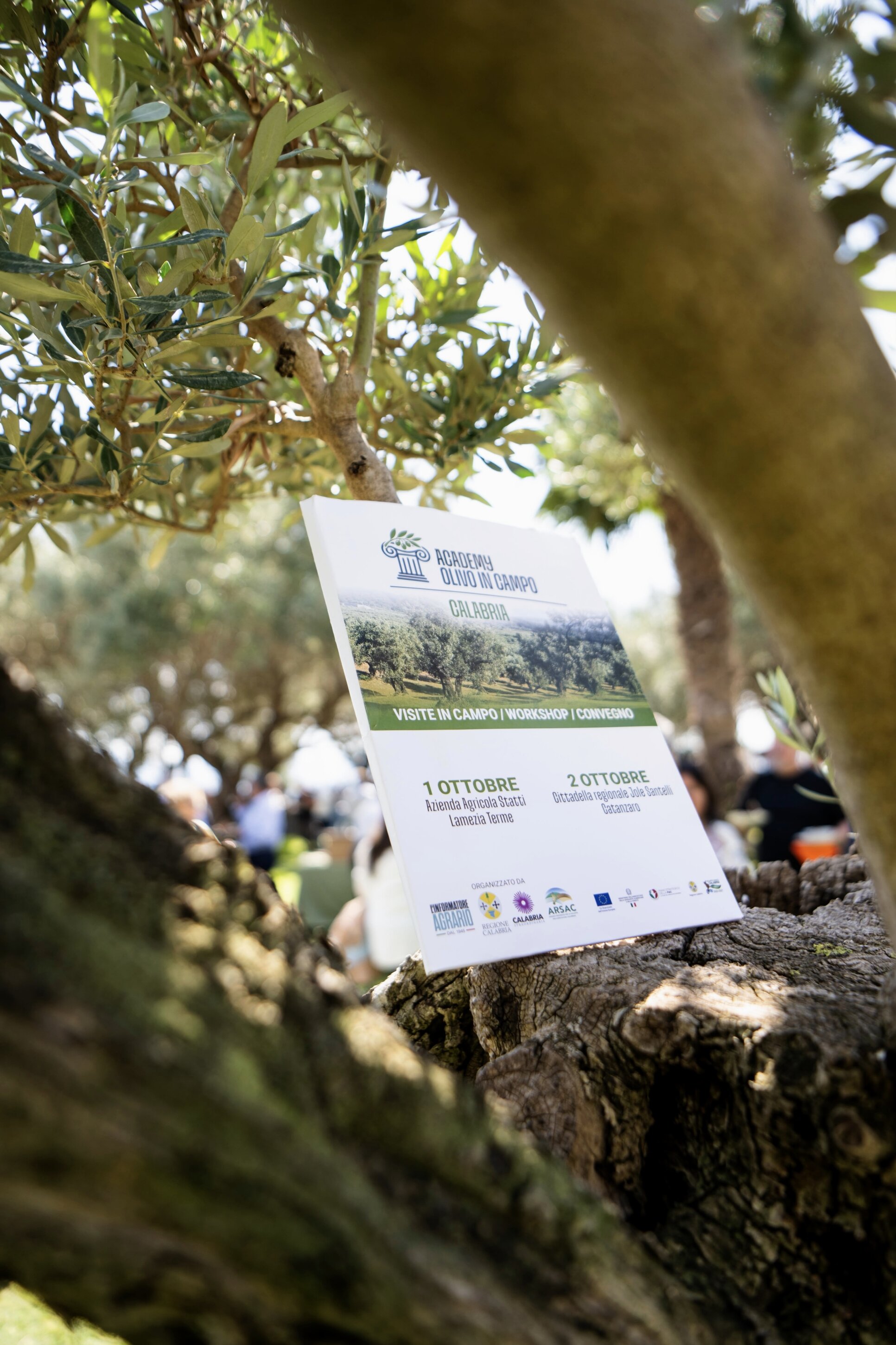 academy-olivo-in-campo-calabria-2026.jpeg
