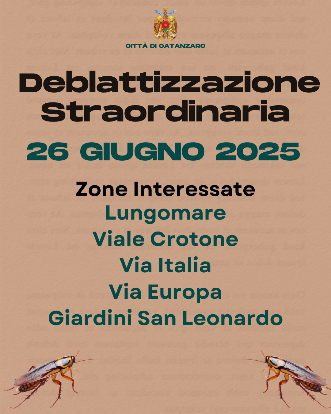 The Municipality of Catanzaro informs citizens that starting today, an extraordinary program of cockroach control interventions will begin in the main areas