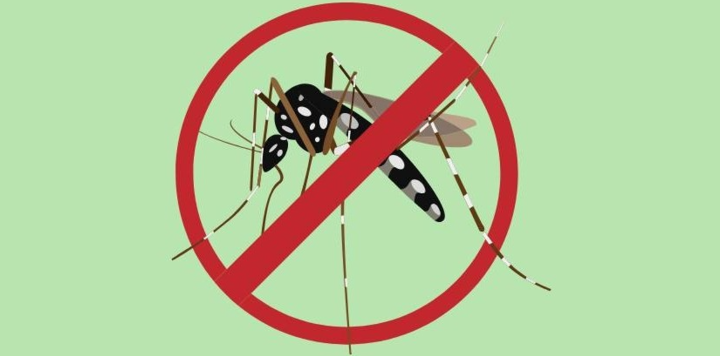 Avviata disinfestazione contro le zanzare per la prevenzione del virus West Nile