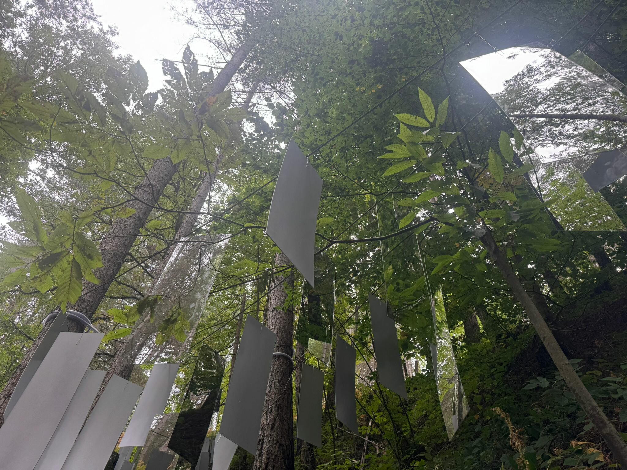 img-20260427-wa0021.jpeg