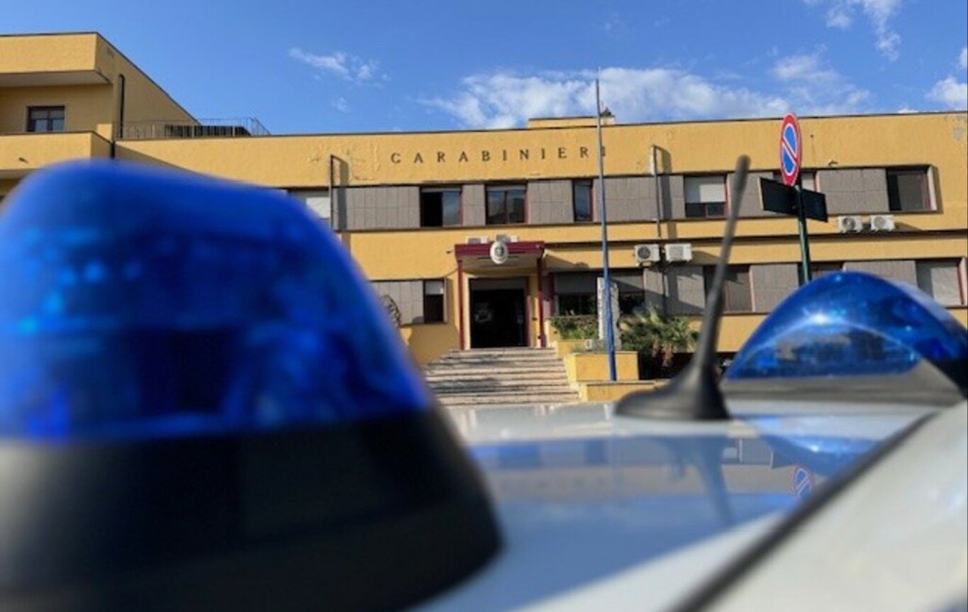 The Carabinieri of the Soverato Company, together with the soldiers of the Anti-Adulteration and Health Unit (N.A.S.), have implemented a complex s