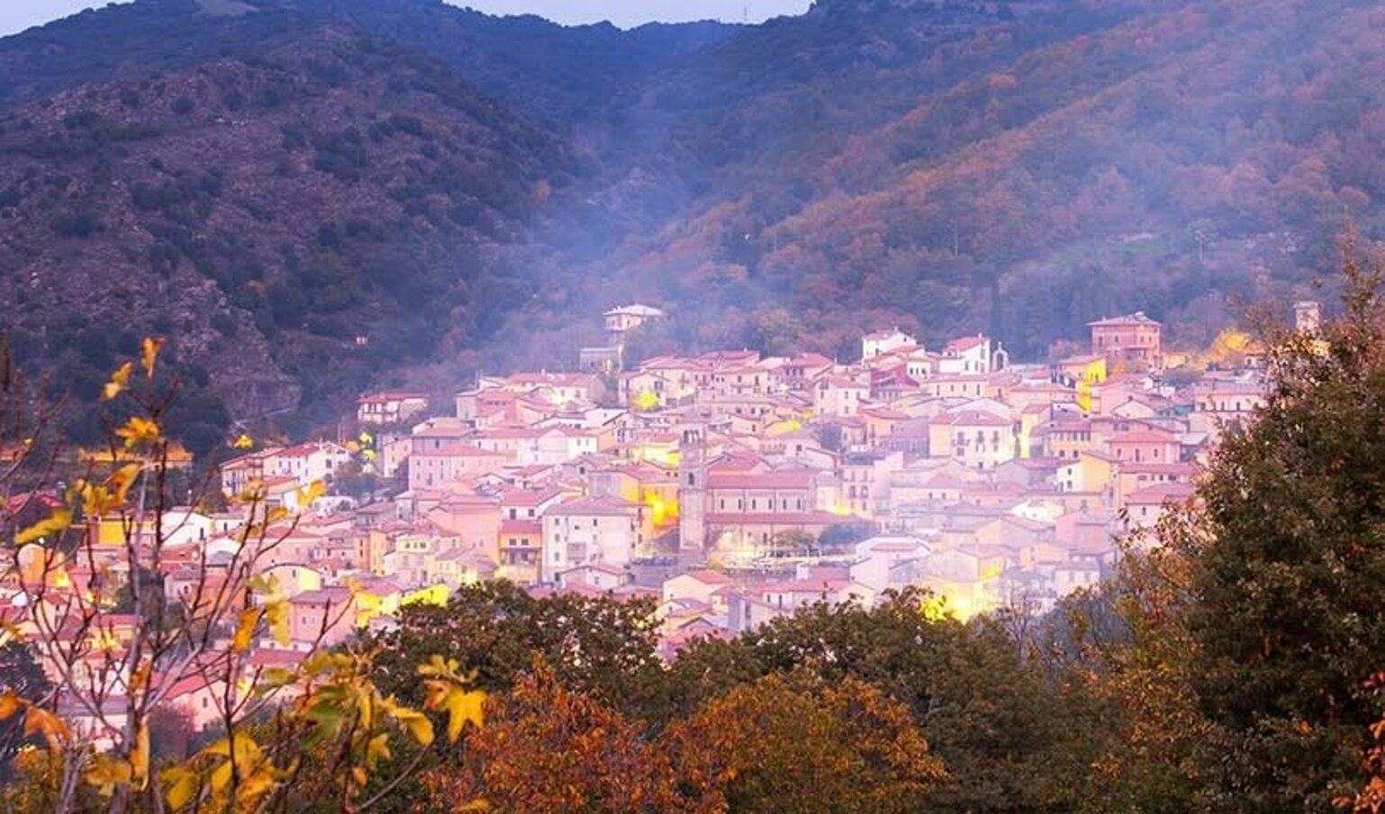 riccio di castagna riccio di castagna