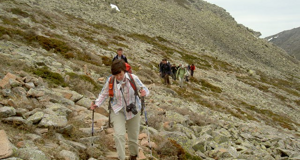 news4-1581375603-1603792781