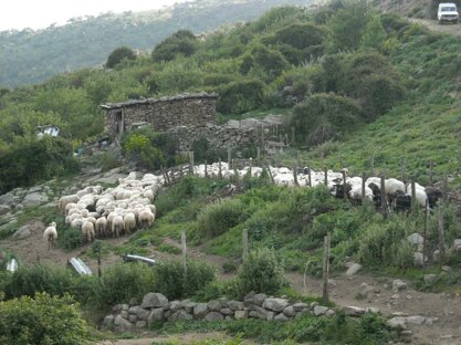 aritzo pastoria.jpeg