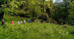 tomahawak1604702537627-1611254457