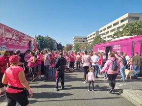 whatsapp image 2025-04-23 à 18.43.19_55134258.jpeg