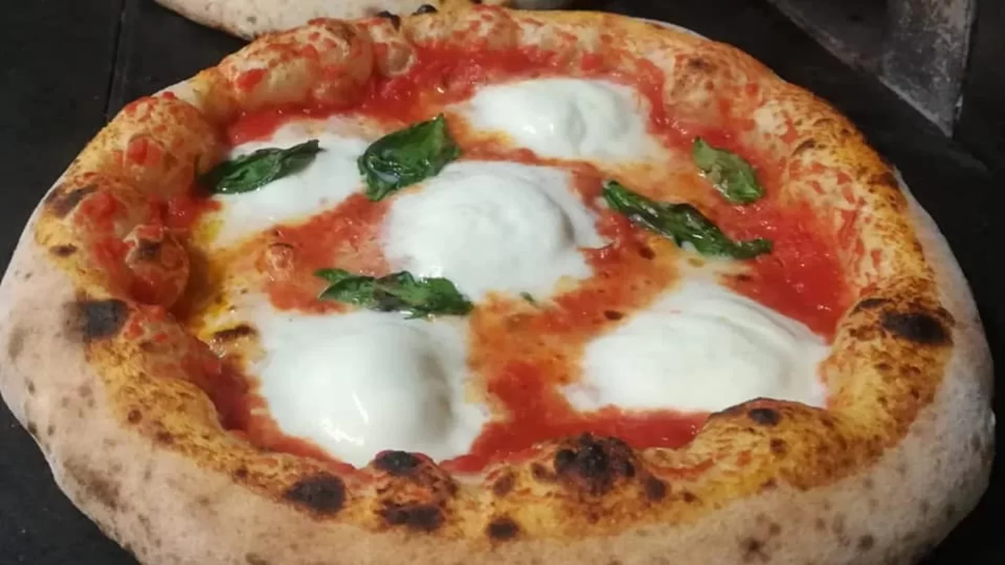 51132442_570797420049230_5470232916992720896_n