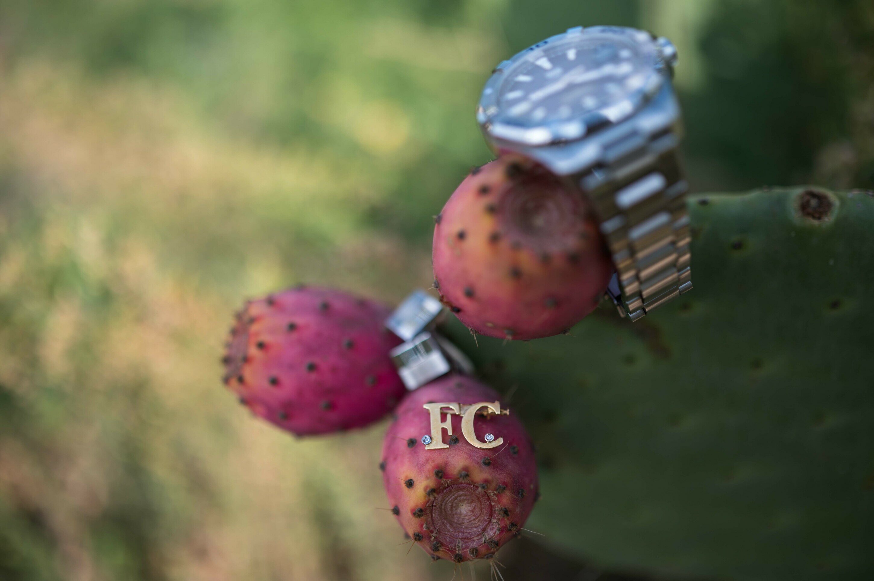 miglior-fotografo-matrimonio-puglia010.jpeg miglior-fotografo-matrimonio-puglia010.jpeg