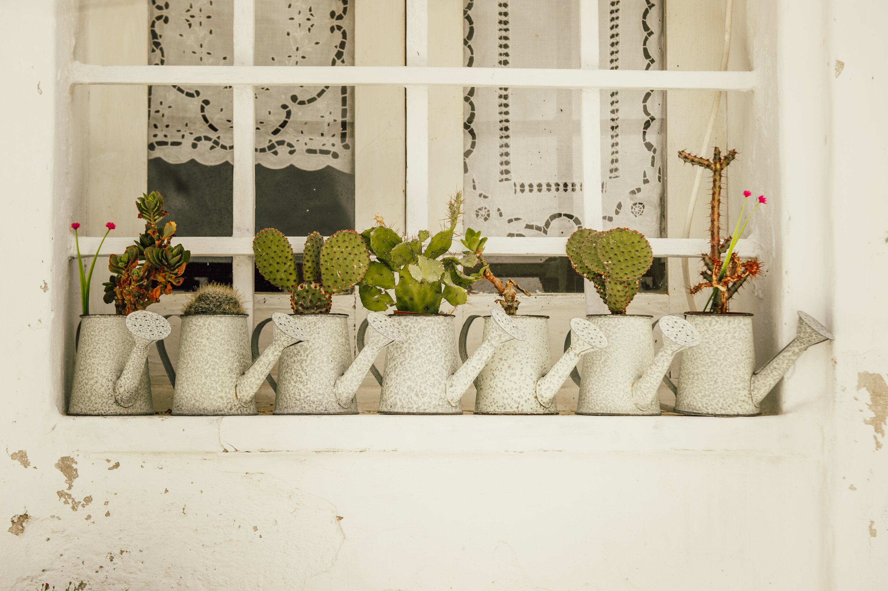 miglior-fotografo-matrimonio-puglia017.jpeg miglior-fotografo-matrimonio-puglia017.jpeg