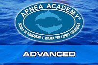 advanced.200x133.jpeg advanced.200x133.jpeg