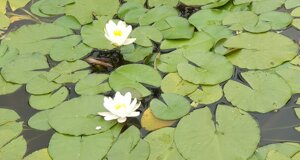 20250522-wa0056.jpeg 20250522-wa0056.jpeg