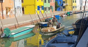 20250510-wa0066.jpeg 20250510-wa0066.jpeg