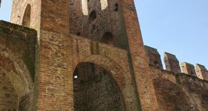 20250510-wa0080.jpeg 20250510-wa0080.jpeg