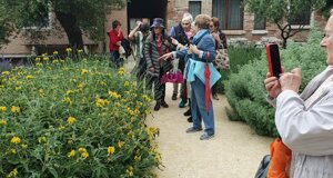 20250525wa0006.jpeg 20250525wa0006.jpeg