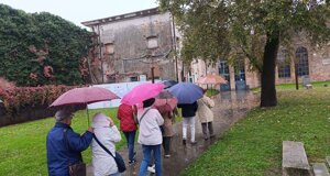 20251021112055.jpeg 20251021112055.jpeg