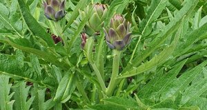 20250522-wa0055.jpeg 20250522-wa0055.jpeg