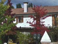 Cena con gli Asparagi