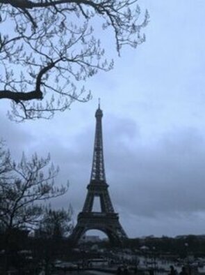 traduzioni legali e giuridiche dal francese Albenga - Torre Eiffel