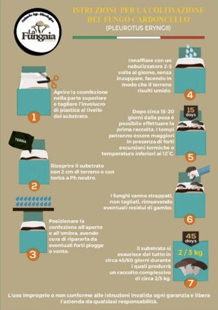 istruzioni kit coltivazione