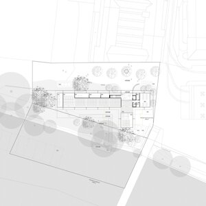 240130_cobage_pianteg.jpeg 240130_cobage_pianteg.jpeg